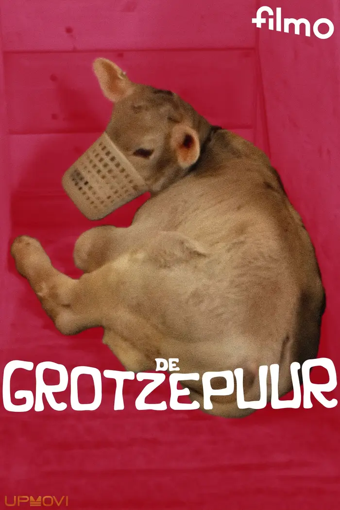 De grotzepuur