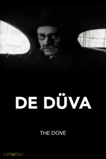 The Dove