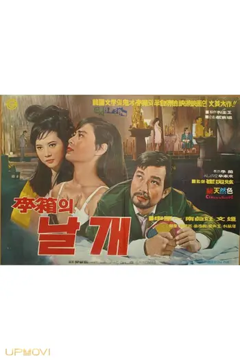 The Wings of Lee Sang