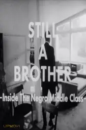 Still A Brother: Inside the Negro Middle Class