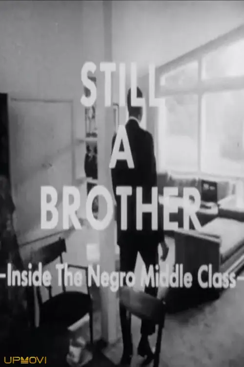 Still A Brother: Inside the Negro Middle Class