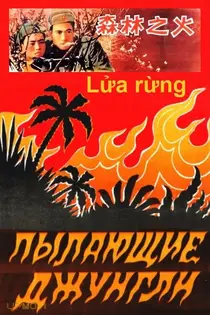 آتش جنگل