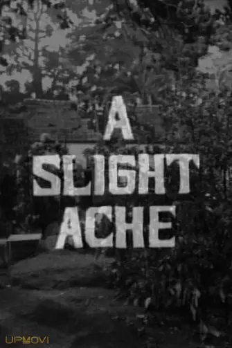 A Slight Ache