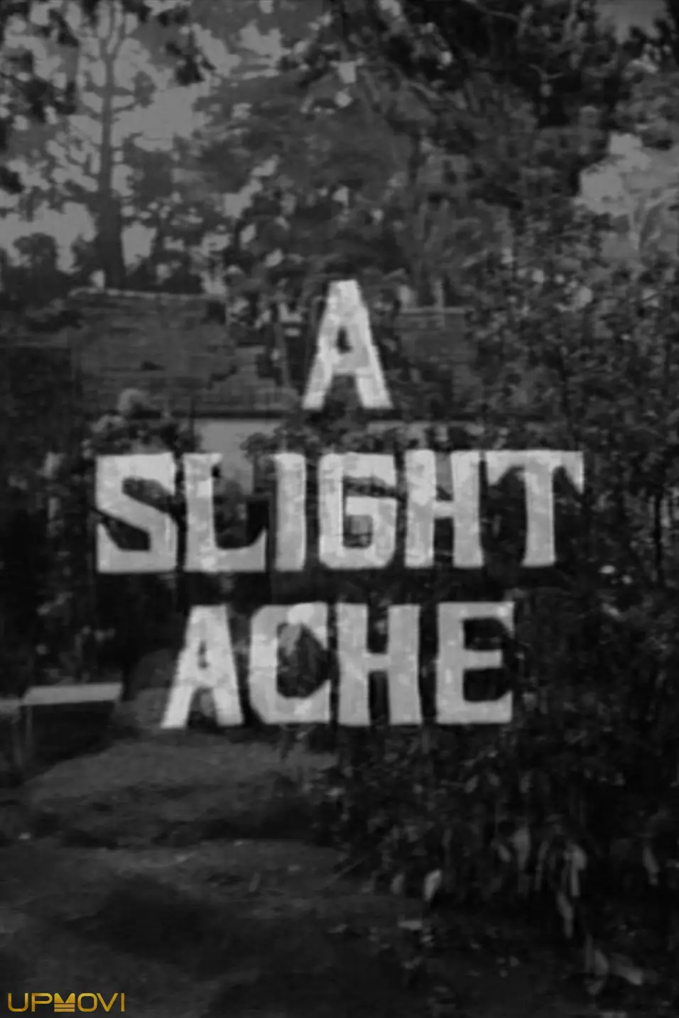 A Slight Ache