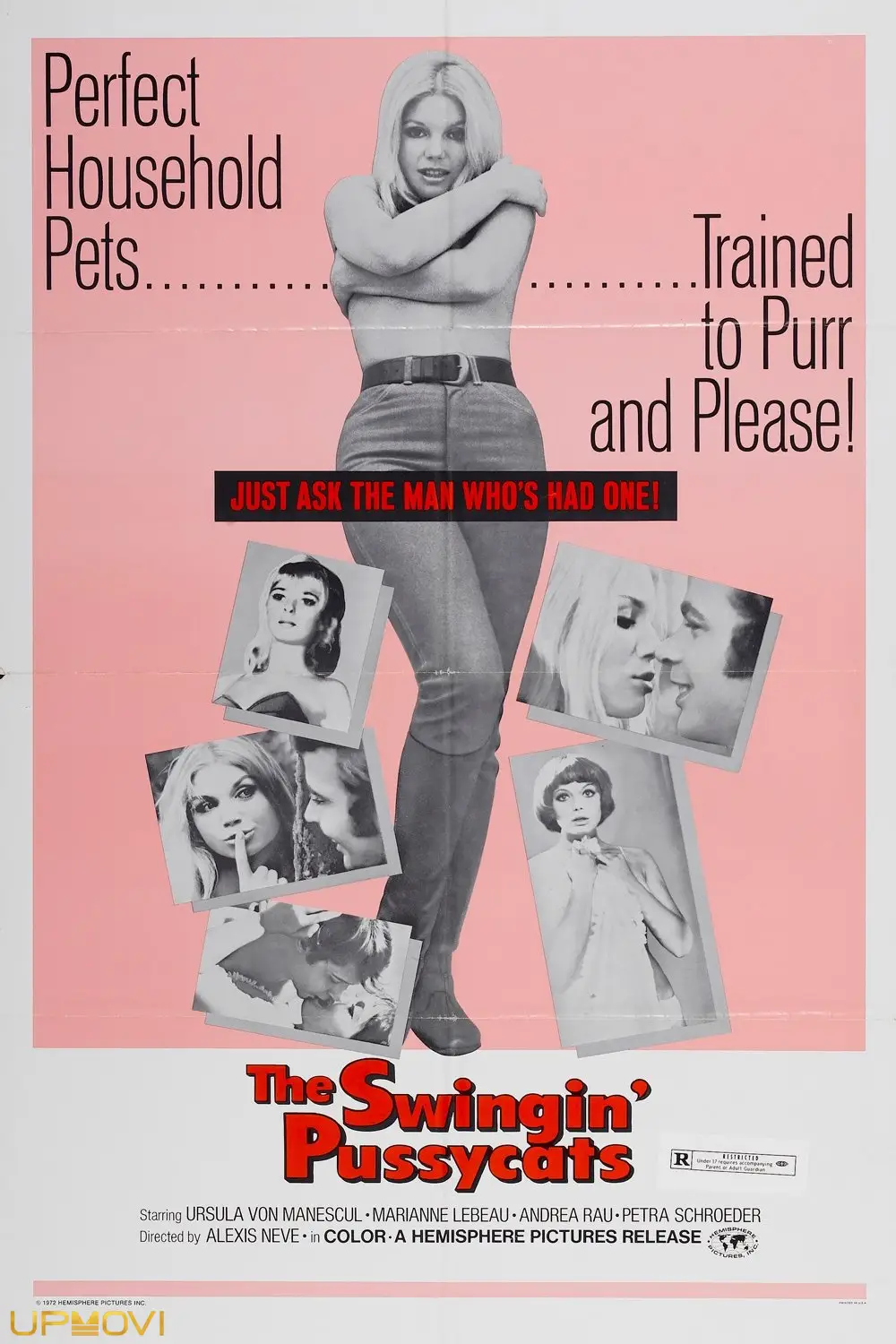 The Swingin' Pussycats