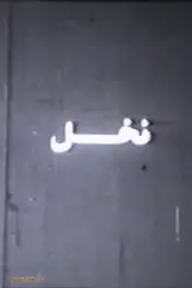 نخل
