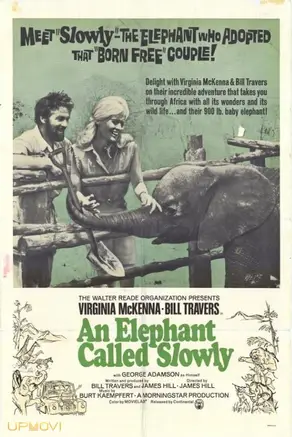 An Elephant Called Slowly