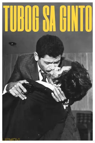 Tubog sa Ginto