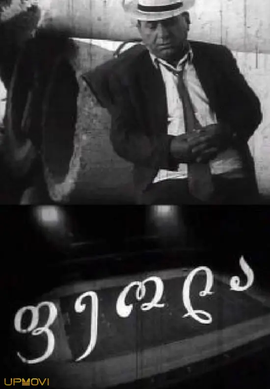 فیولا