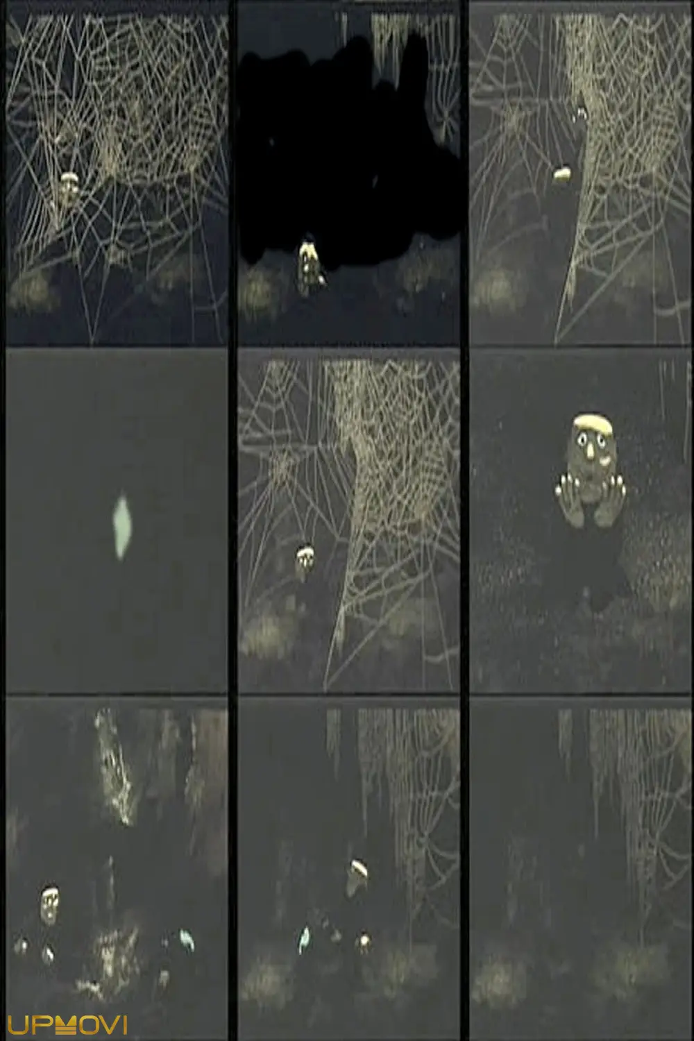 The Spider