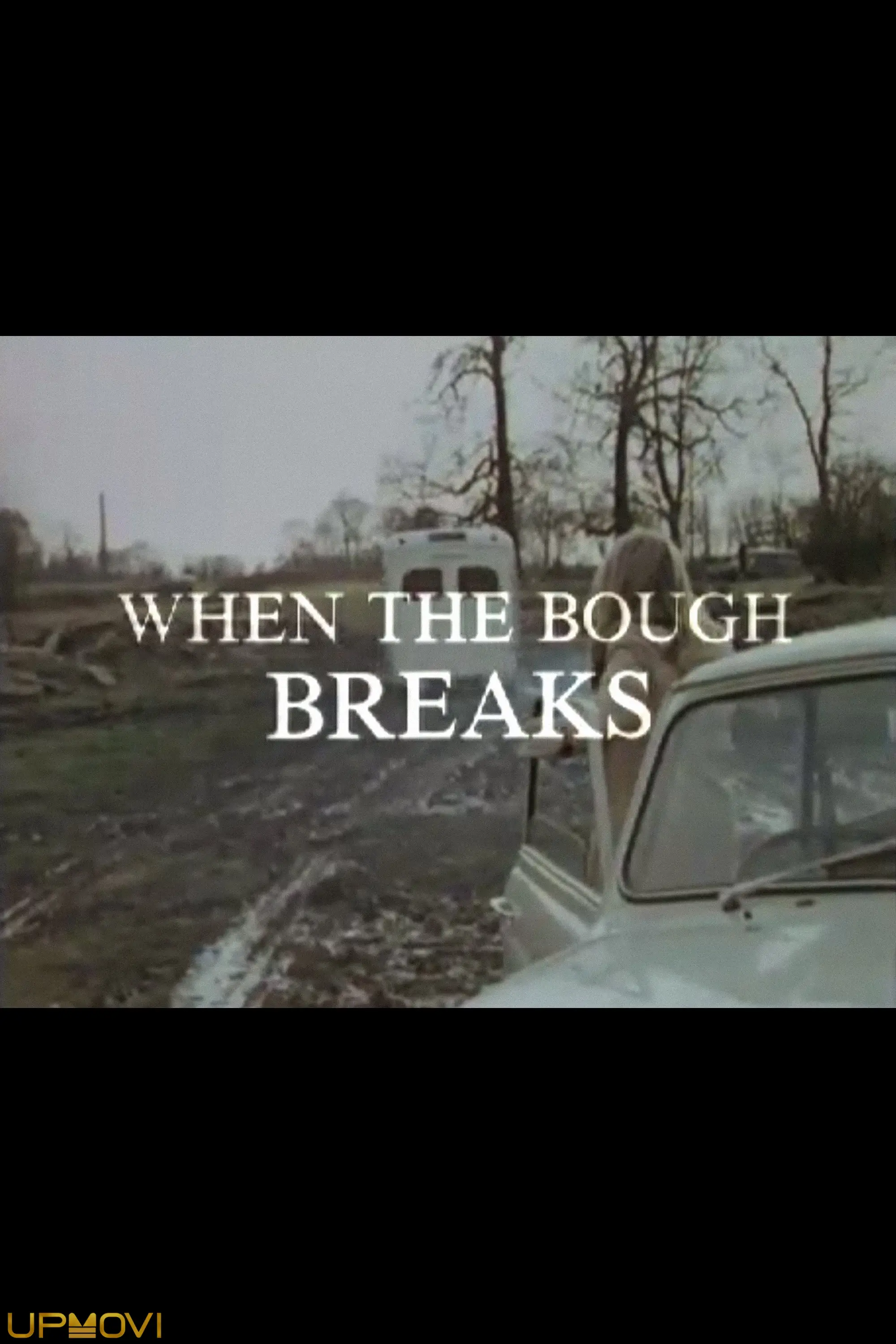 When the Bough Breaks