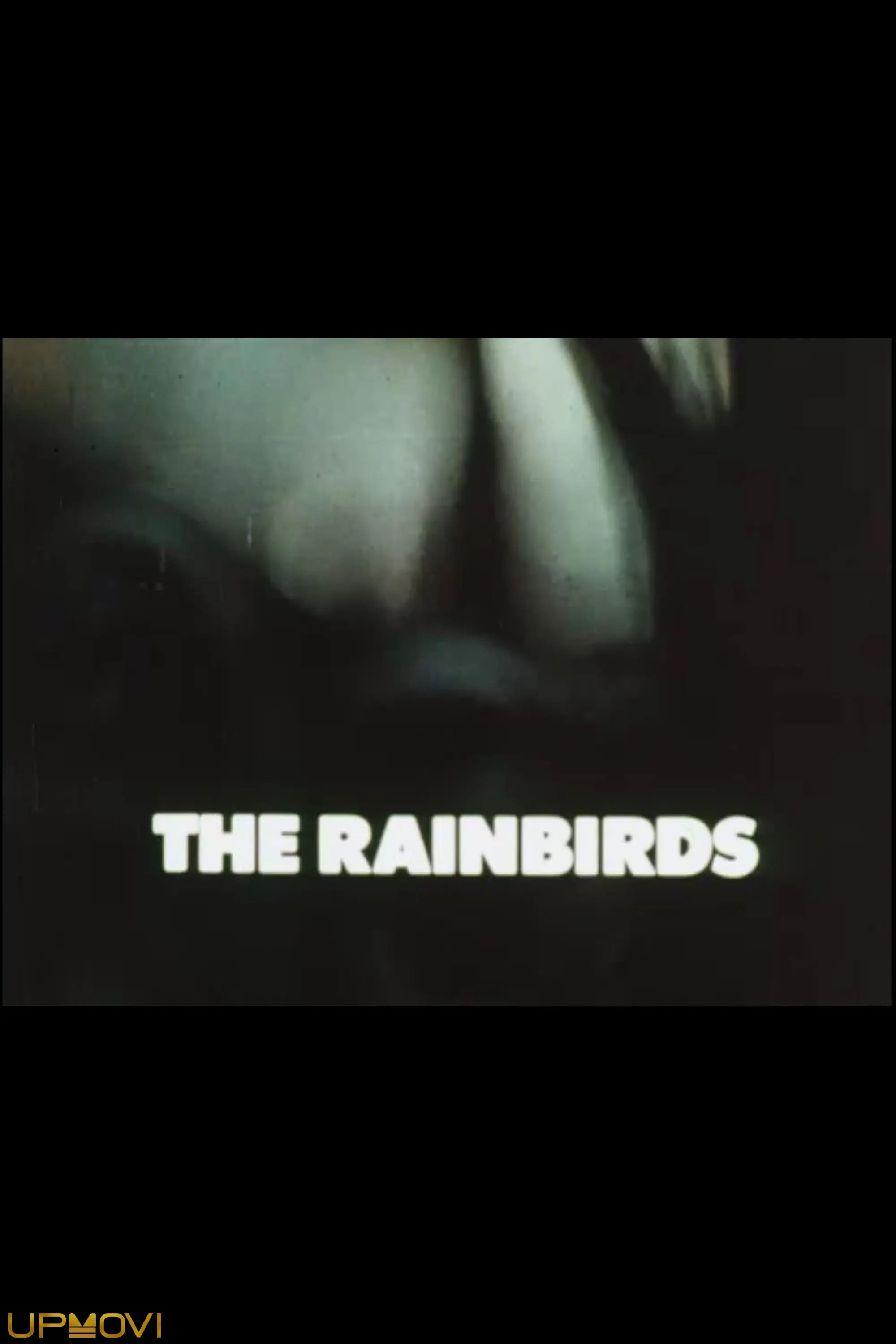The Rainbirds