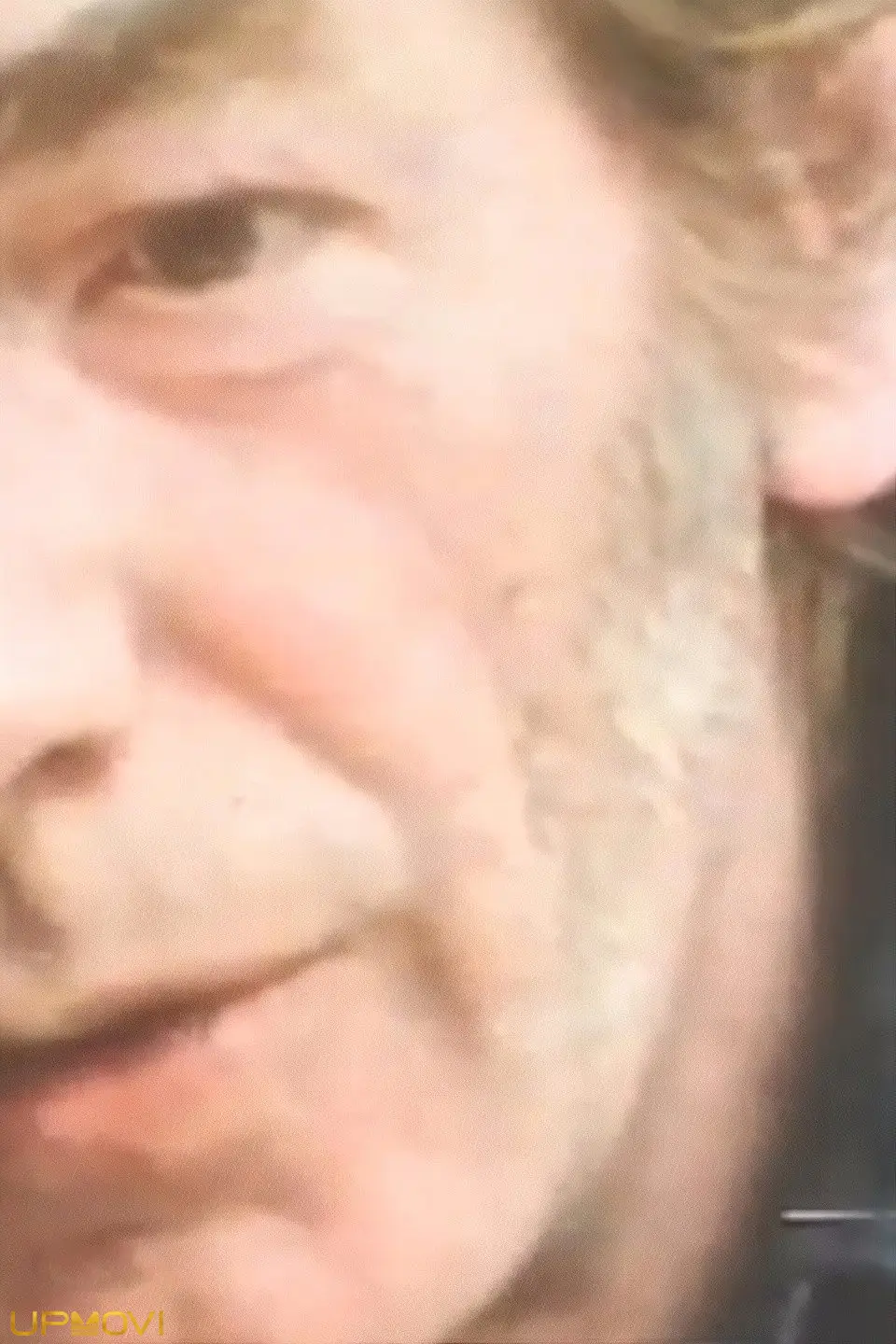 وینسنت هلندی