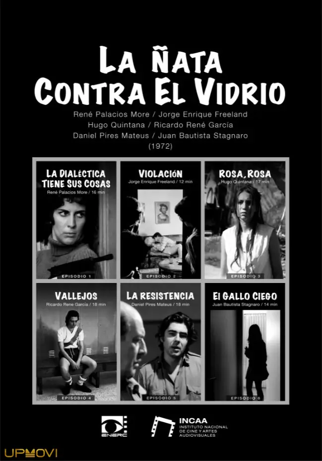 La ñata contra el vidrio