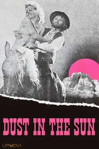 Dust in the Sun