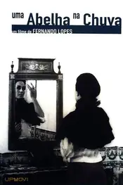یک زنبور در باران