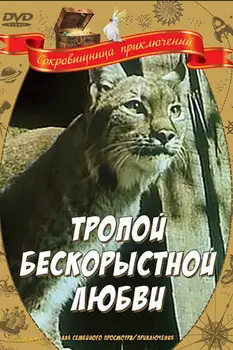 مسیر به سوی عشق بی‌علاقه